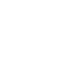 Mosaic Development