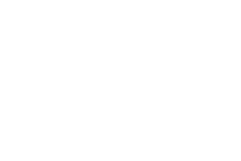 Bingham Park, Mission-driven housing development NC, Low-income housing tax credit LIHTC apartment community NC